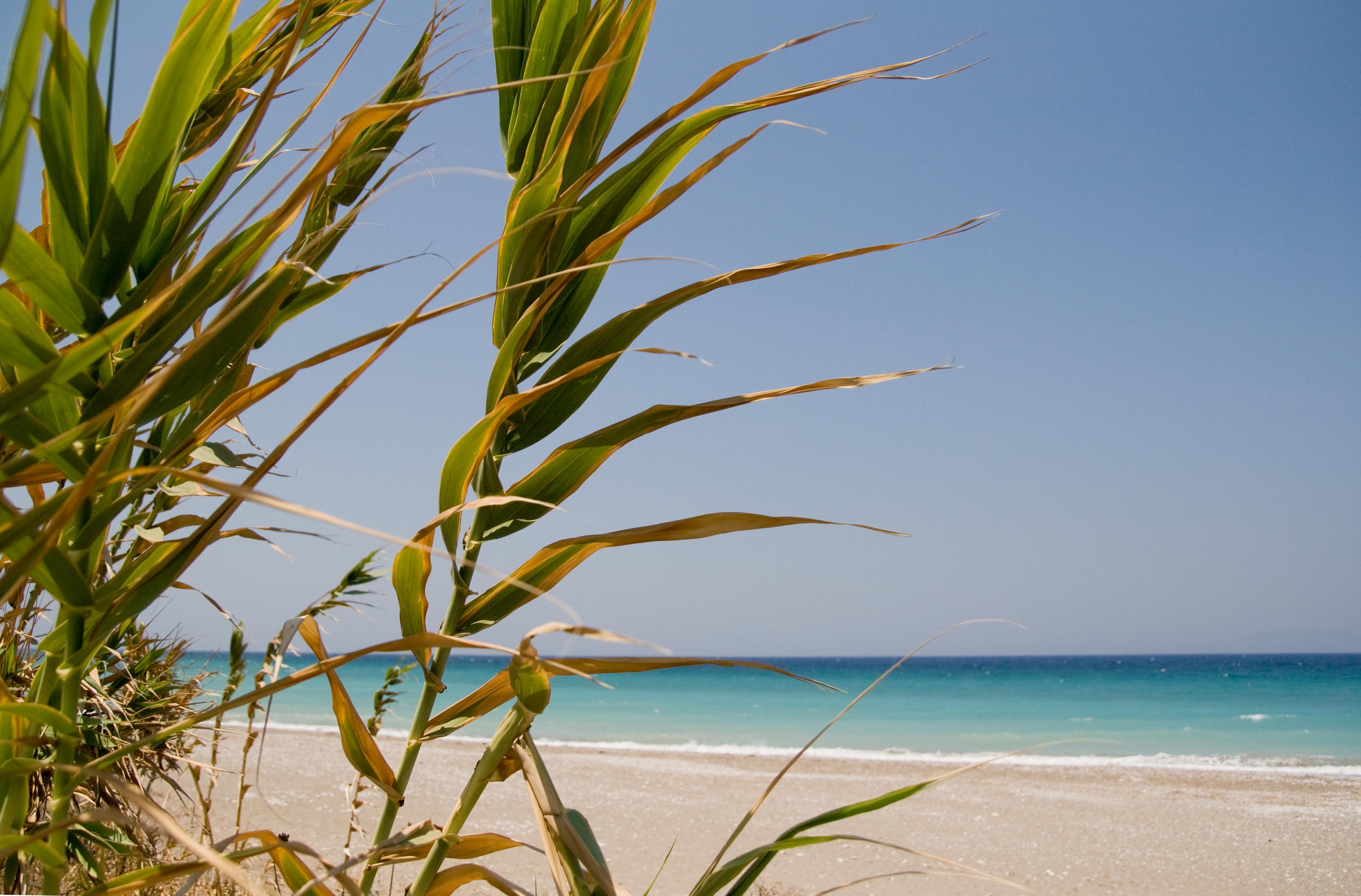 Hotel Asteria Agios Kirykos  Ngoại thất bức ảnh
