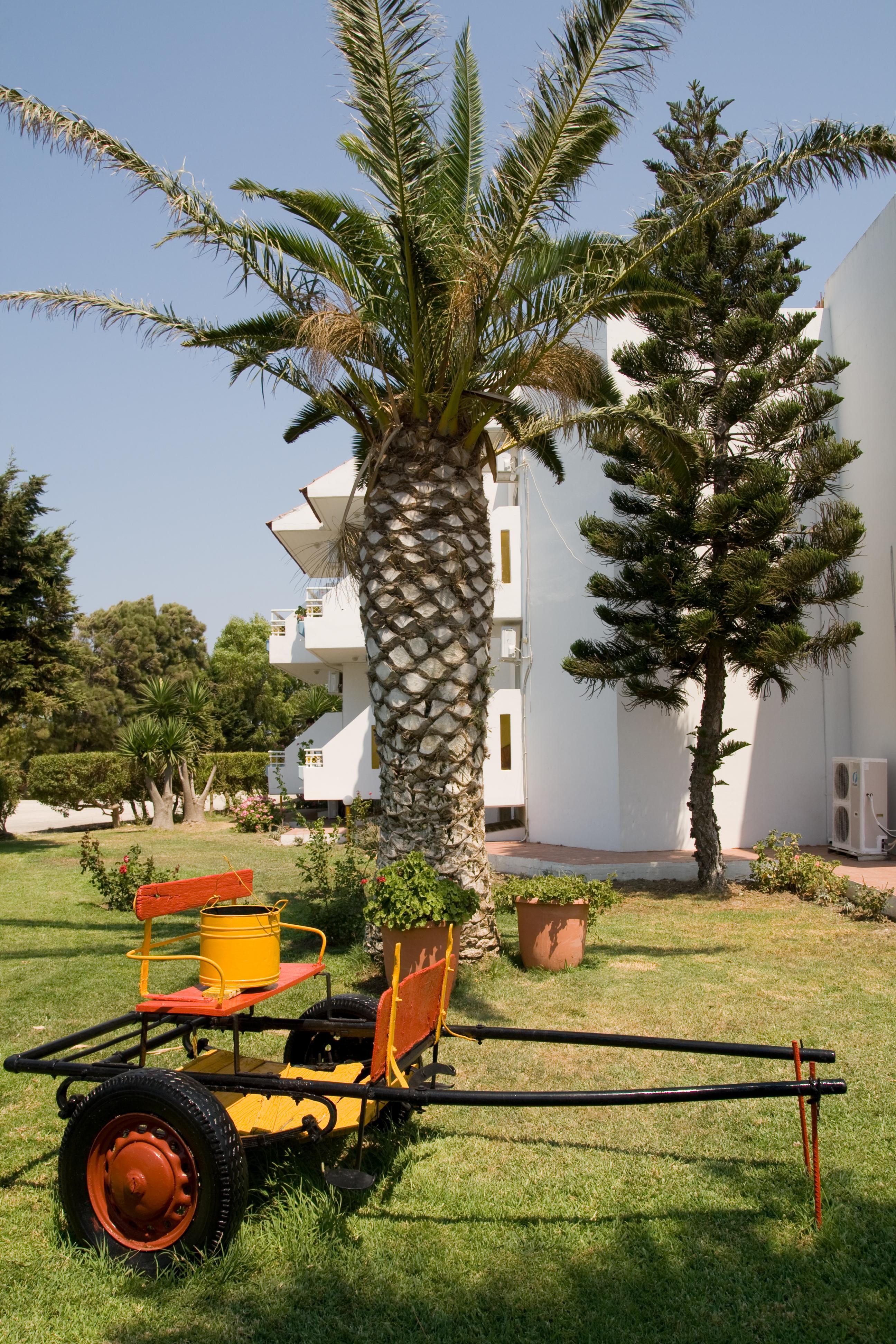 Hotel Asteria Agios Kirykos  Ngoại thất bức ảnh